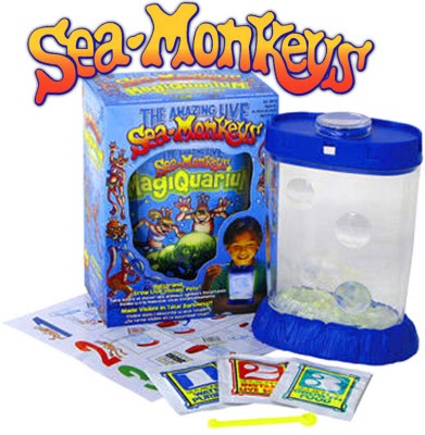 sea monkey eat