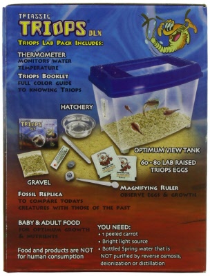Kit Triops, raise a living fossil